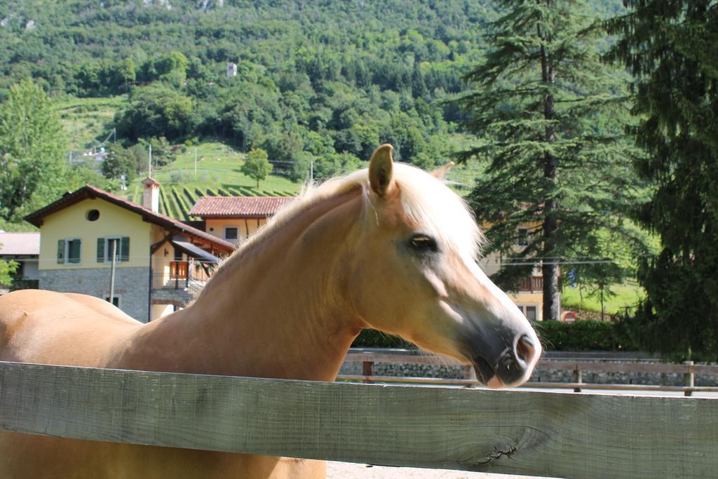 Country House Ramandolo Club Nimis Zewnętrze zdjęcie